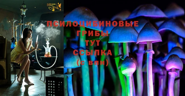 ПСИЛОЦИБИНОВЫЕ ГРИБЫ Лихославль