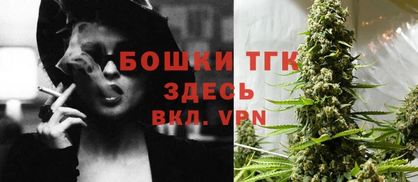 МДПВ Абаза